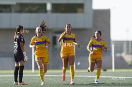 gol @tar.mx