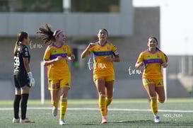 gol @tar.mx