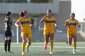gol @tar.mx