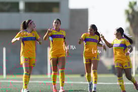 gol @tar.mx