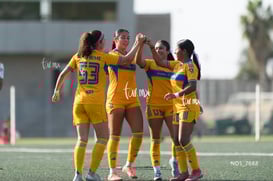 gol @tar.mx