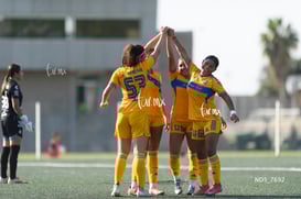gol @tar.mx