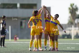 gol @tar.mx