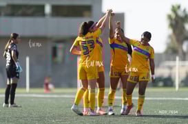 gol @tar.mx