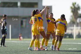 gol @tar.mx