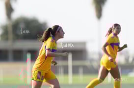 gol @tar.mx