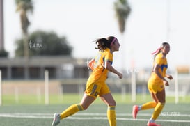 gol @tar.mx