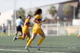 gol @tar.mx