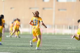 gol @tar.mx