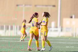 gol @tar.mx