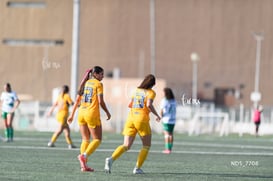 gol @tar.mx