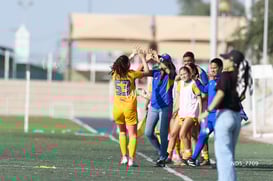 gol @tar.mx