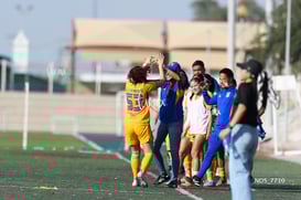 gol @tar.mx