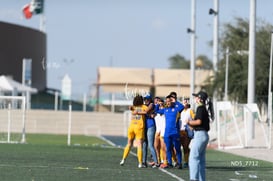 gol @tar.mx