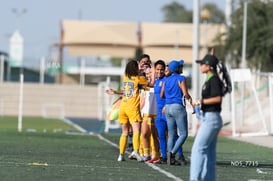 gol @tar.mx