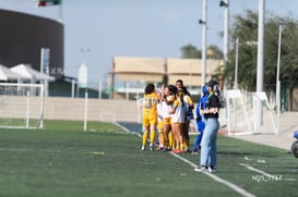gol @tar.mx