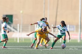 Santos Laguna vs Tigres UANL S19 @tar.mx