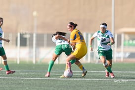 Santos Laguna vs Tigres UANL S19 @tar.mx