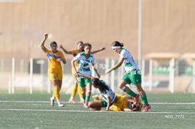 Santos Laguna vs Tigres UANL S19 @tar.mx