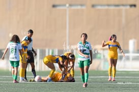 Santos Laguna vs Tigres UANL S19 @tar.mx