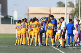 Santos Laguna vs Tigres UANL S19 @tar.mx