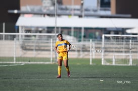 Santos Laguna vs Tigres UANL S19 @tar.mx