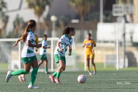 Santos Laguna vs Tigres UANL S19 @tar.mx