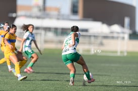 Santos Laguna vs Tigres UANL S19 @tar.mx