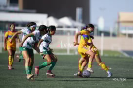 Santos Laguna vs Tigres UANL S19 @tar.mx