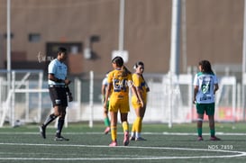 Santos Laguna vs Tigres UANL S19 @tar.mx