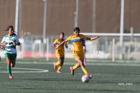 Santos Laguna vs Tigres UANL S19 @tar.mx