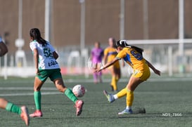 Santos Laguna vs Tigres UANL S19 @tar.mx
