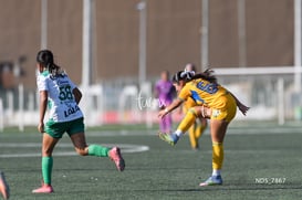 Santos Laguna vs Tigres UANL S19 @tar.mx