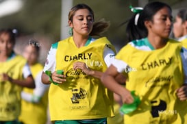 Santos Laguna vs Tigres UANL S19 @tar.mx