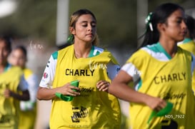 Santos Laguna vs Tigres UANL S19 @tar.mx