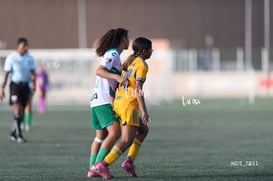 Santos Laguna vs Tigres UANL S19 @tar.mx