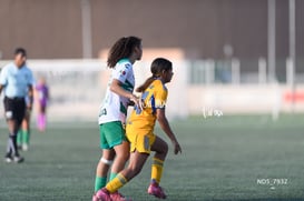 Santos Laguna vs Tigres UANL S19 @tar.mx