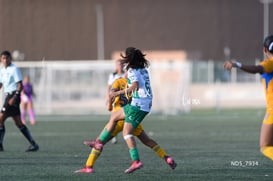 Santos Laguna vs Tigres UANL S19 @tar.mx