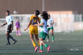 Santos Laguna vs Tigres UANL S19 @tar.mx