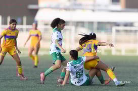 Santos Laguna vs Tigres UANL S19 @tar.mx