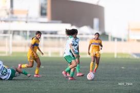 Santos Laguna vs Tigres UANL S19 @tar.mx
