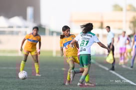 Santos Laguna vs Tigres UANL S19 @tar.mx