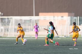 Mereli Zapata @tar.mx