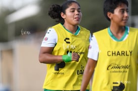 Santos Laguna vs Tigres UANL S19 @tar.mx