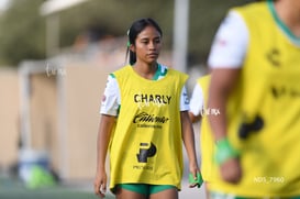 Santos Laguna vs Tigres UANL S19 @tar.mx