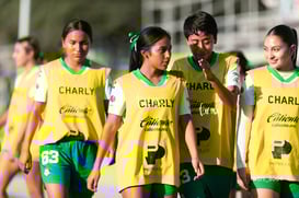 Santos Laguna vs Tigres UANL S19 @tar.mx