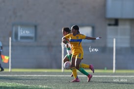 Santos Laguna vs Tigres UANL S19 @tar.mx