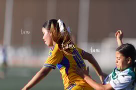 Santos Laguna vs Tigres UANL S19 @tar.mx
