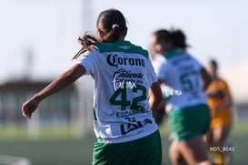 Santos Laguna vs Tigres UANL S19 @tar.mx