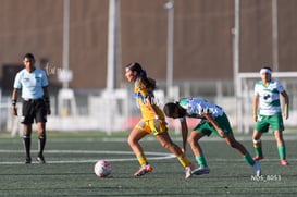 Santos Laguna vs Tigres UANL S19 @tar.mx